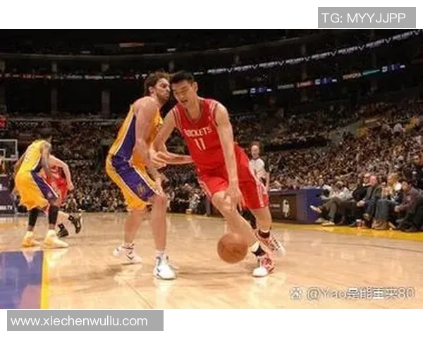 南京篮球队的实力分析与未来发展展望探讨 南京篮球队的实力分析与未来发展展望探讨