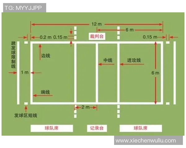 排球新手必看：从零基础到实力提升的全面攻略与技巧分享