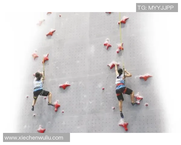 最新攀岩力量排行榜揭晓北京攀岩队强势领跑全国前十名