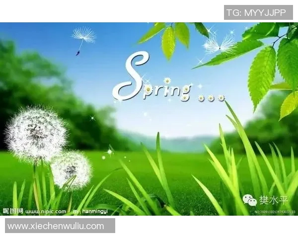 滑板与梦想交织的旅程：黄丽的深度对话与人生启示