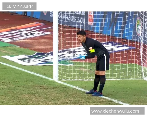 西安乒乓球队区域防守分析与战术调整的得与失探讨