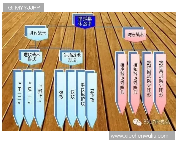 重庆排球队反击战术解析与未来发展展望