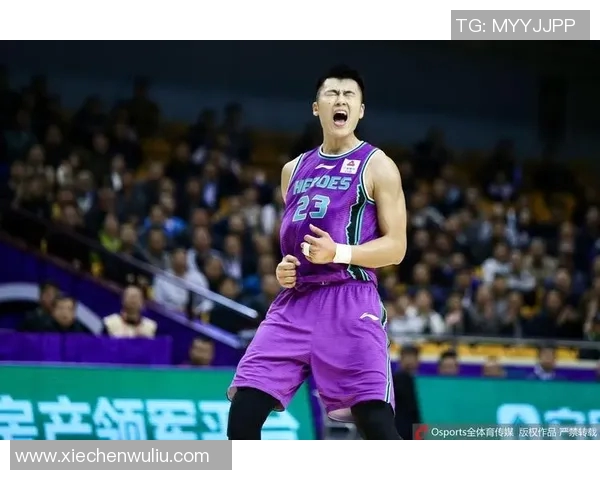 北京与四川2019年对决回顾:精彩瞬间与赛场分析 北京与四川2019年对决回顾:精彩瞬间与赛场分析