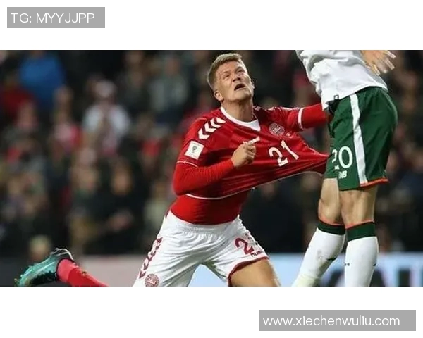 威尔士与爱尔兰精彩对决集锦回顾球迷必看瞬间与精彩进球分析