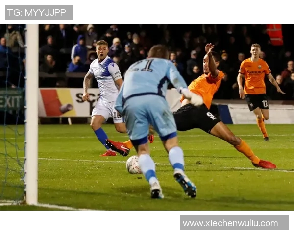 布流浪与巴尼特的精彩对决比分分析与赛后点评