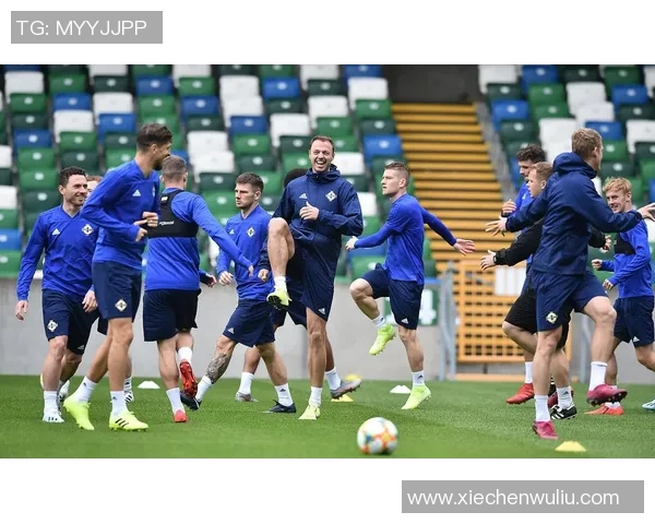 意大利与瑞典足球比赛技术统计分析及数据对比详解