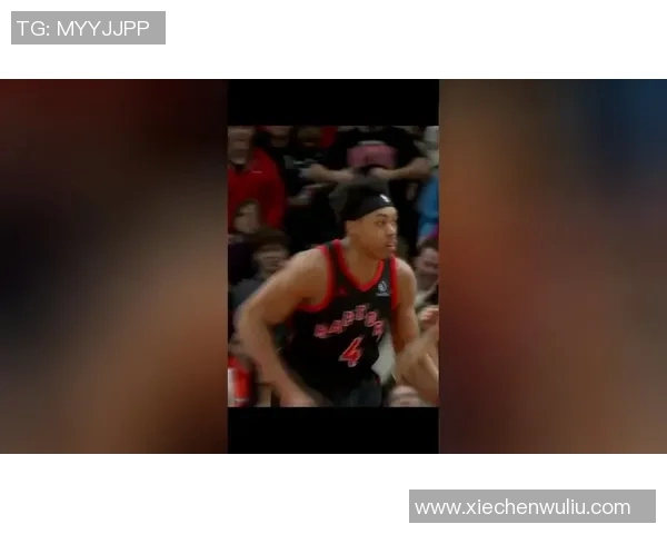 斯科蒂巴恩斯的崛起之路：从新秀到NBA明星的蜕变与成长