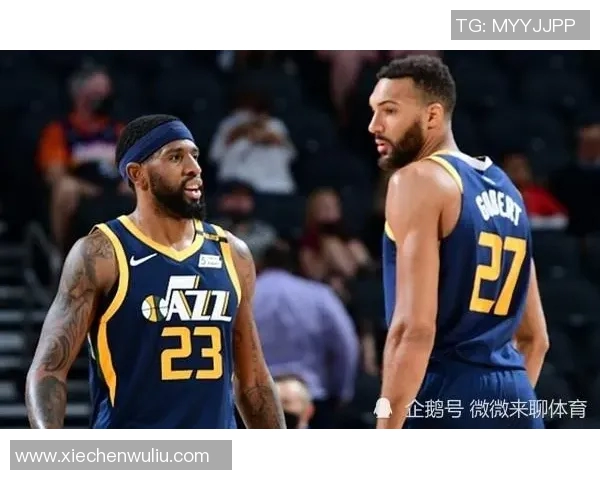 爵士队与灰熊队的技术统计分析与比赛亮点总结