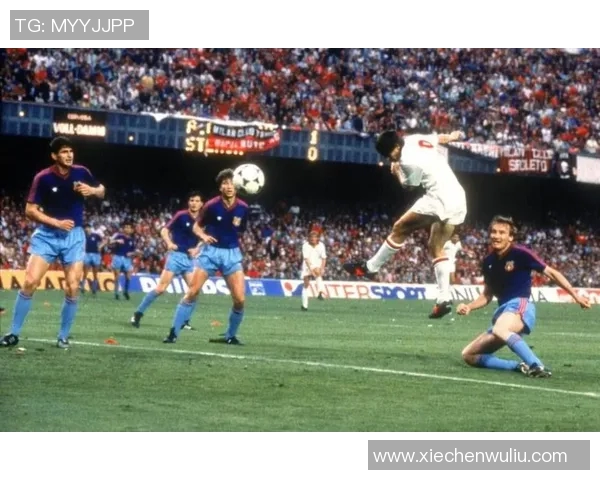 谢什科的传奇人生与足球生涯探秘与启示