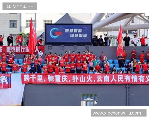 重庆篮球队配合问题引发热议球迷与专家各抒己见探讨未来发展方向