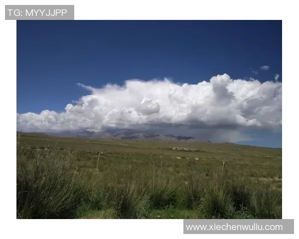 重庆街舞队的奋斗之路:一段热血青春的真实记录与心灵碰撞 重庆街舞队的奋斗之路:一段热血青春的真实记录与心灵碰撞