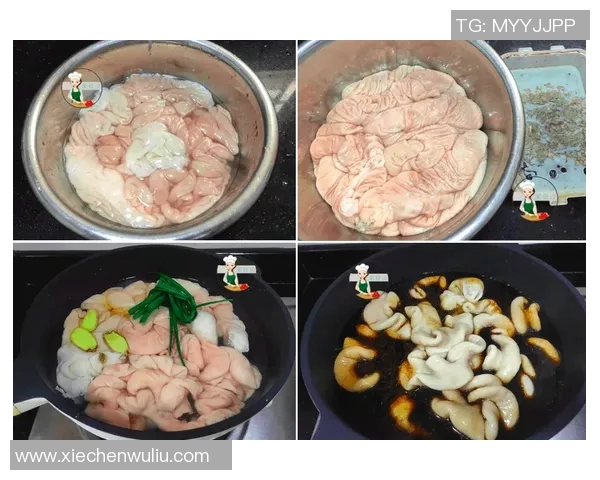 陈丽独家揭秘篮球技巧与心得分享助你提升球技的秘密之道