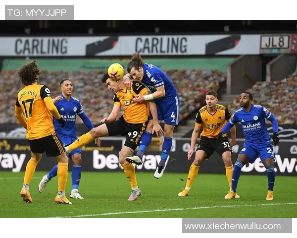 2018年桑德兰对阵狼队精彩回顾与赛季分析