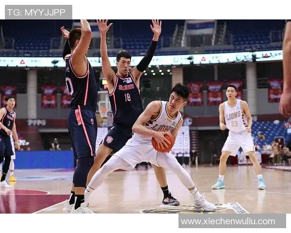 刘铮的奋斗历程与篮球梦想如何在风雨中绽放光彩