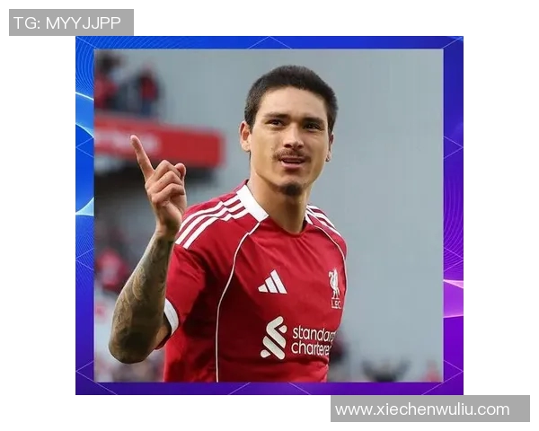 努涅斯在赛场上的崛起与挑战分析及未来发展展望