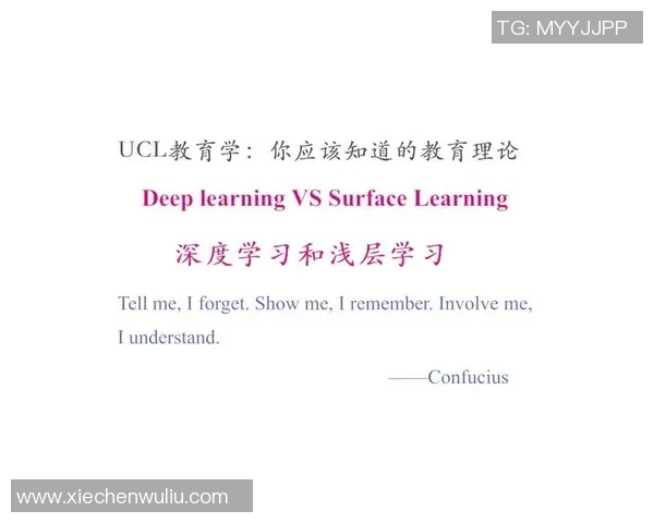周一与周五上学的不同体验与学习效率的深度探讨